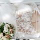 Wedding gown cleaning and preservation